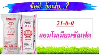 ขอด-ขอเสย ของ ปยสตร 21-0-0 แอมโมเนยมซลเฟต