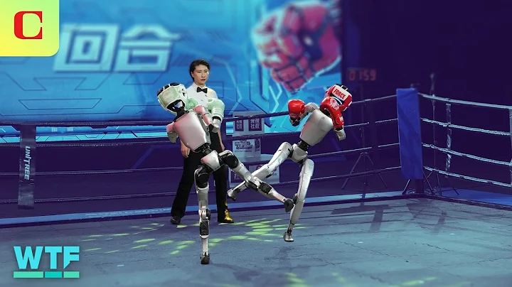 Unitree G1 Humanoid Robot Boxing: All the WILDEST Highlights | What The Future