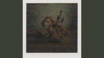 Ég hringdi//UNFEELING