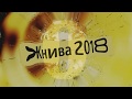 Жнива 2018р. (с. Золота Слобода)