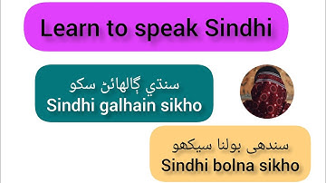 learn to speak sindhi language|سندھی میں بات کرنا سیکھیں|Vd24