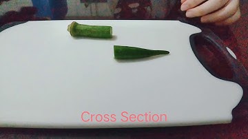 Cutting of Different Histological Section - Longitudinal, Cross and Tangential Section