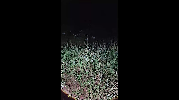 Penelusuran Horror Malam Ini