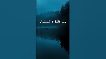 وَلَٰكِنَّ النَّاسَ أَنفُسَهُمْ يَظْلِمُونَ - جزء من #سورة_يونس القاريء محمد ديبيروف
