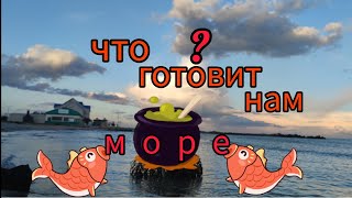 Море в Приморске.