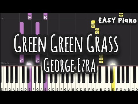 Green Green Grass (Easy Version) - George Ezra