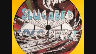 Slugbed The Moon Zoop Jam