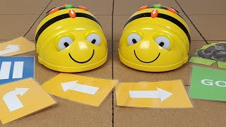 A BeeBot használata - Ötletek tevékenységekhez