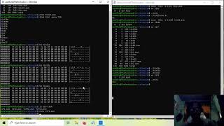 asm035-tiny elf32 and tiny helloworld elf32