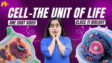 Cell The Unit of Life Class 11 Biology | NCERT Chapter 8 | CBSE | Cell Organelles, Theory, Wall