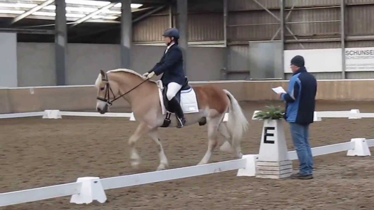 ingrid-helmes-met-merlijn-in-de-l2-dressuur-proef-14-youtube