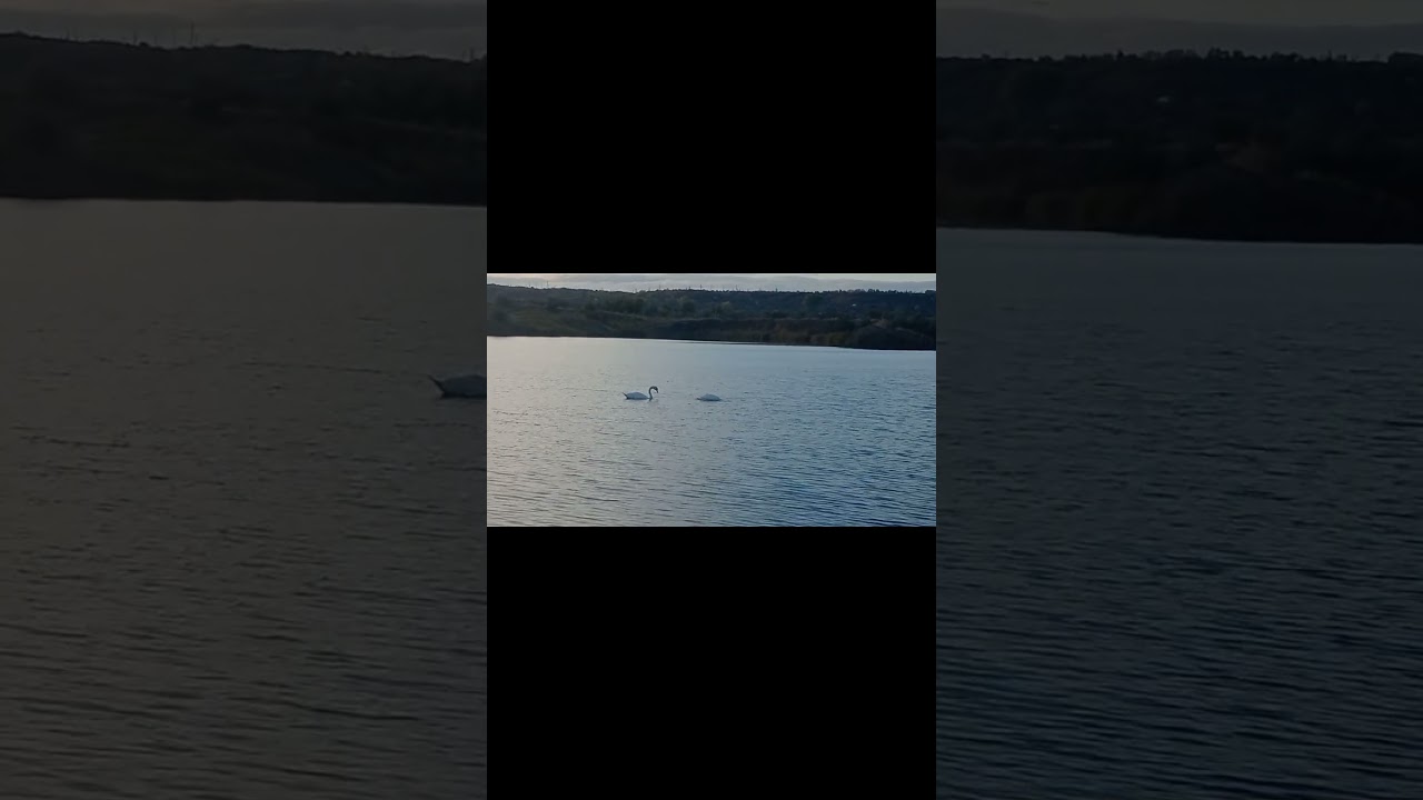 Где-то в Ульяновской области