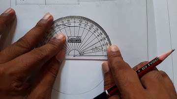 Class 8 | chapter 5 | Data Handling | Pie chart | circle Graph