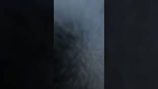 My go to for lining my hidden compartments  #gorillaglue #sprayadhesive #hydefurnituredecor