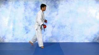 Machida rear front kick.avi