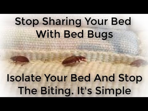 how-do-you-get-rid-of-bed-bugs