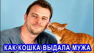 МУЖ часто стал приходить очень поздно - но вычислила его наша же кошка МУЖ часто стал приходить очень поздно - но вычислила его наша же кошка