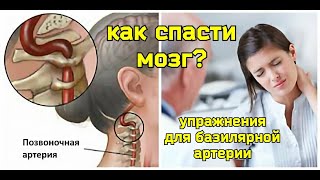 Главный Сосуд Мозга - Базилярная Артерия. Почему Нужны Упражнения Для Верхней Косой Мышцы Головы?