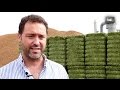 HDL Fernando Sastre, diferenciación andaluza con alfalfa deshidratada que llega a Oriente