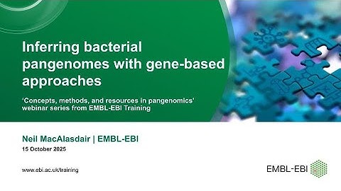 Inferring bacterial pangenomes with gene based approaches