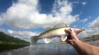 Рыбалка на Северной Двине