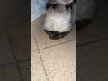 الله يجعل البركة فعمركم ورزقكم اكسبلور اشتراك Explore Subscribe Shorts الله يجعل البركة فعمركم ورزقكم اكسبلور اشتراك Explore Subscribe Shorts