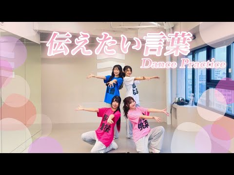 【Dance Practice】LOTUS MARRY 『伝えたい言葉』