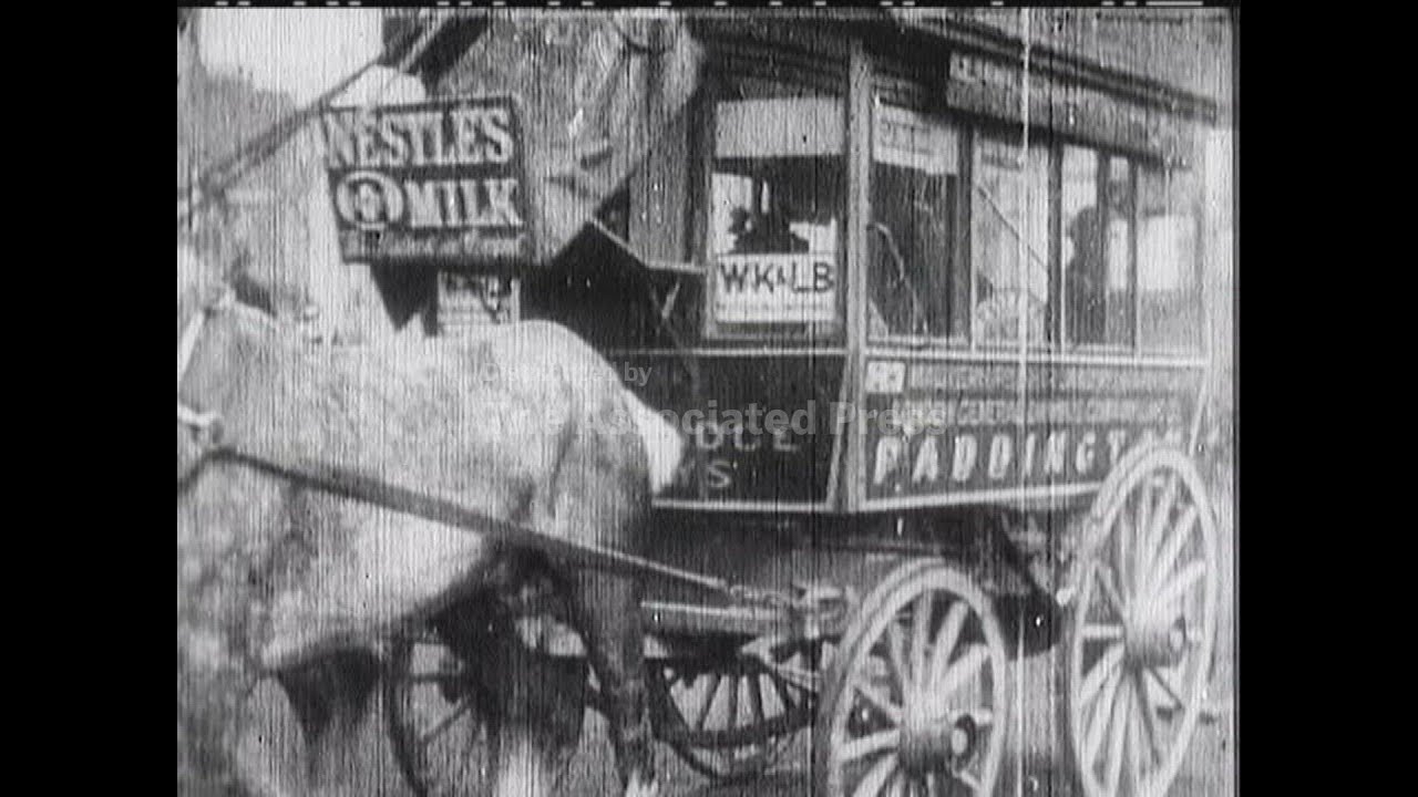 HORSE BUSES - NO SOUND