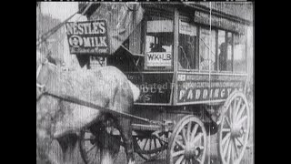 HORSE BUSES - NO SOUND