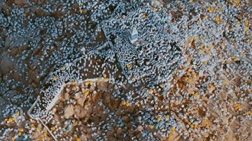 الحج أشهر معلومات | الشيخ محمود خليل القارئ رحمه الله