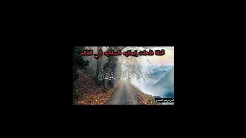 #تلاوة #هادئة #تهز لها #القلب 🎙️للأخ الفاضل﴿ماهر مرجح العدني حفظه الله ورعاه