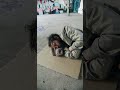 مشهد رجل فقير بردان مقاطع فيديو مجانية بدون حقوق الطبع والنشر