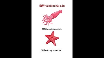 Từ vựng chủ đề hải sản