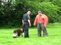 TH Police Dog demo_German Shepherd TH Police Dog demo_German Shepherd