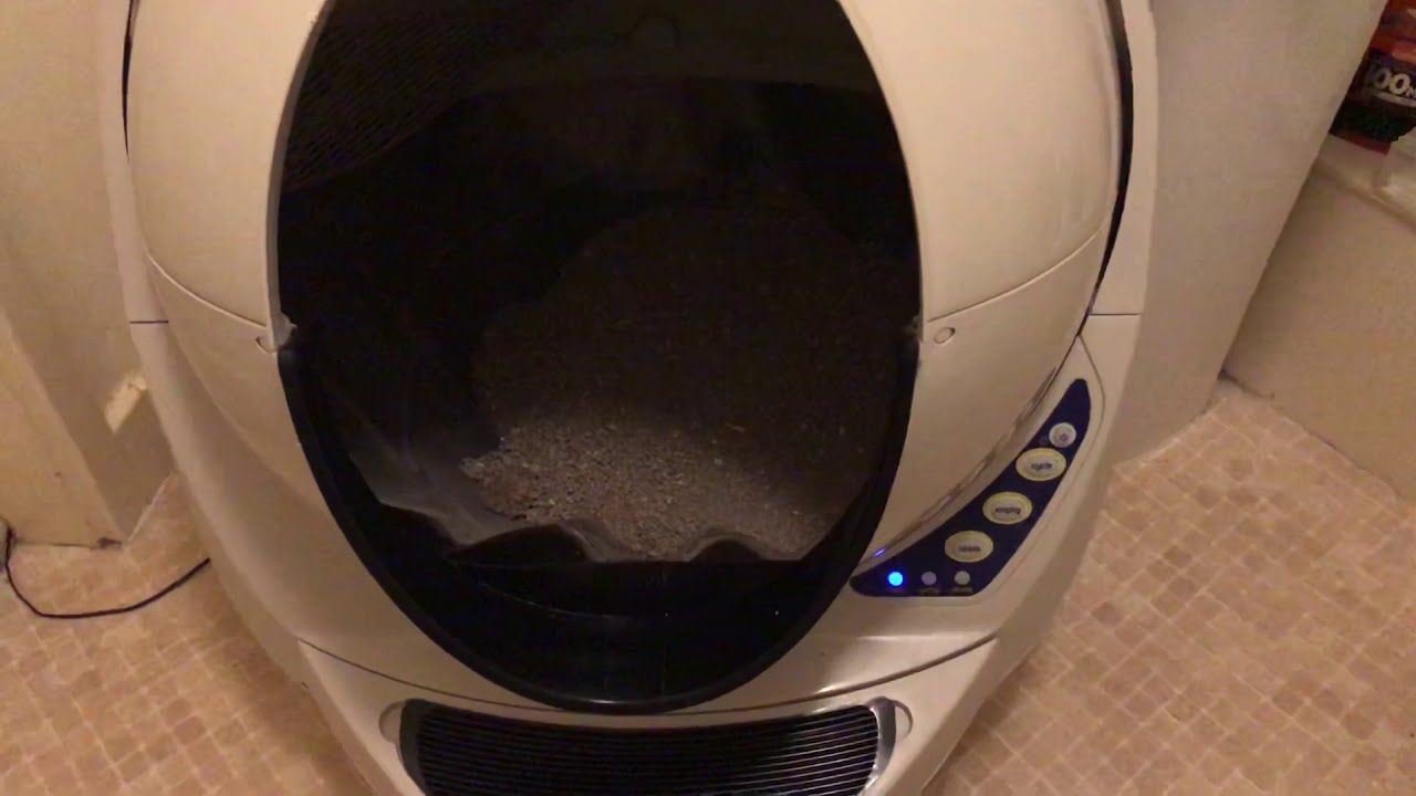 cats inn Litter Robot III Open Air Empty Cycle