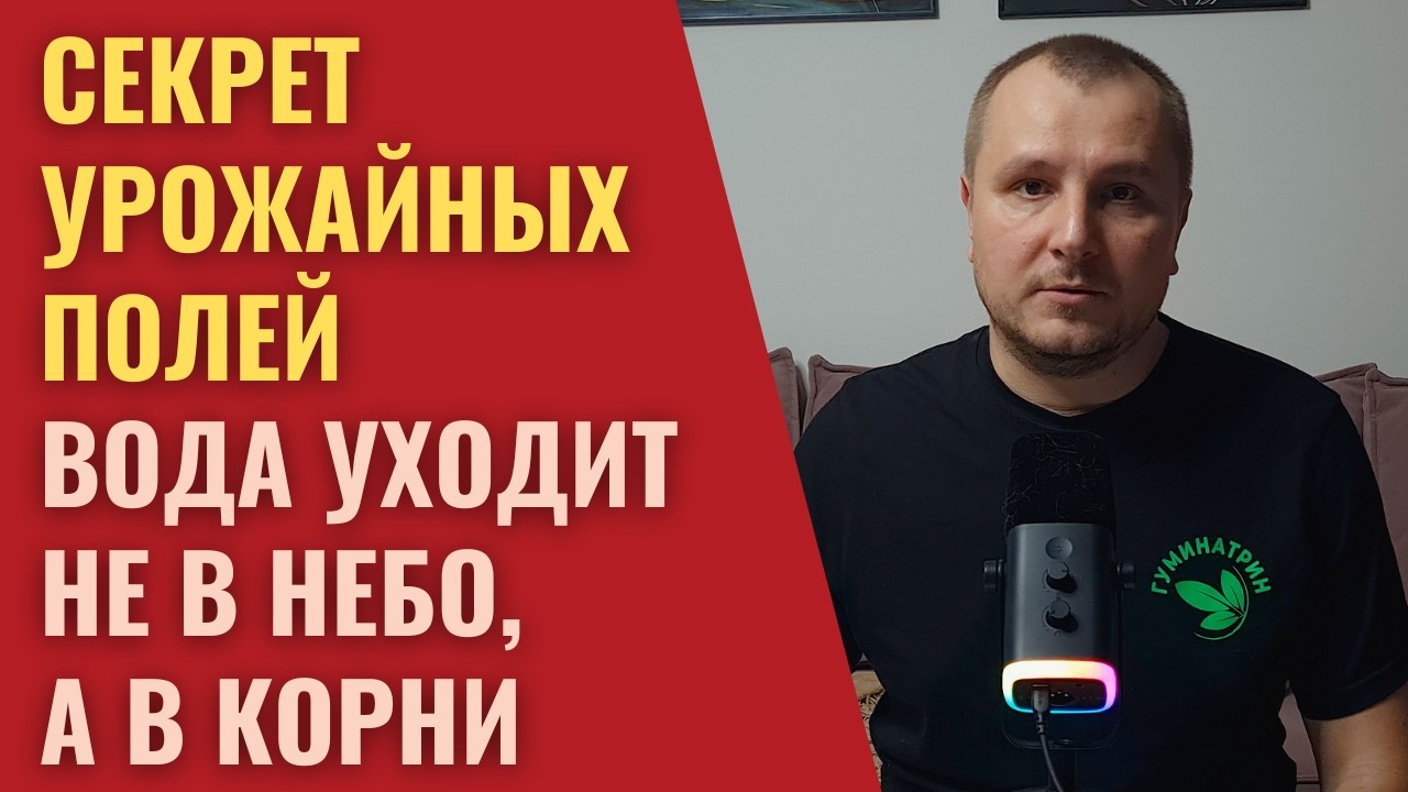 Как сделать так, чтобы каждый миллиметр дождя работал на урожай