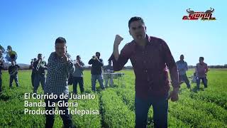 Video thumbnail of "Banda La Gloria De Jerez - El corrido De Juanito"