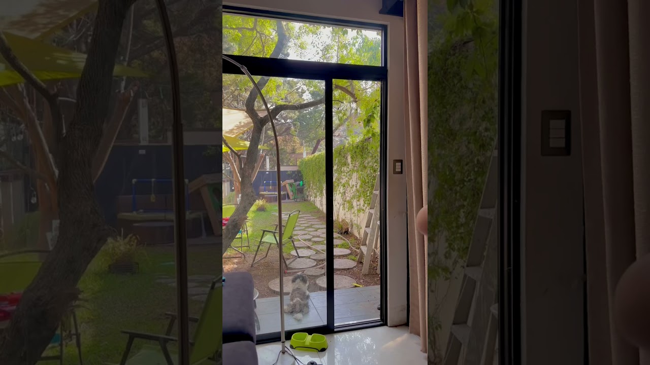 Nerf dardo elite 1.0 vs elite 2.0  sabes cual es la diferencia ? 🥸😜😜😜😜😎