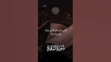 تلاوة بصوت هادئ (يَٰٓأَيُّهَا ٱلنَّاسُ ٱعۡبُدُواْ رَبَّكُمُ ٱلَّذِي خَلَقَكُمۡ )سورة البقرة