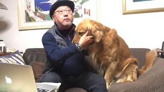 愛犬の肉球ケアの重要性とクリーム開発秘話：ecodogコラム動画