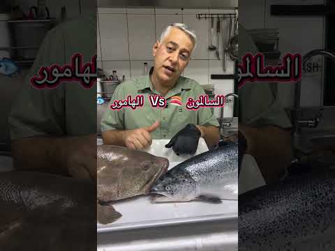 ايهما افضل سمكة السلمون ام الهامور