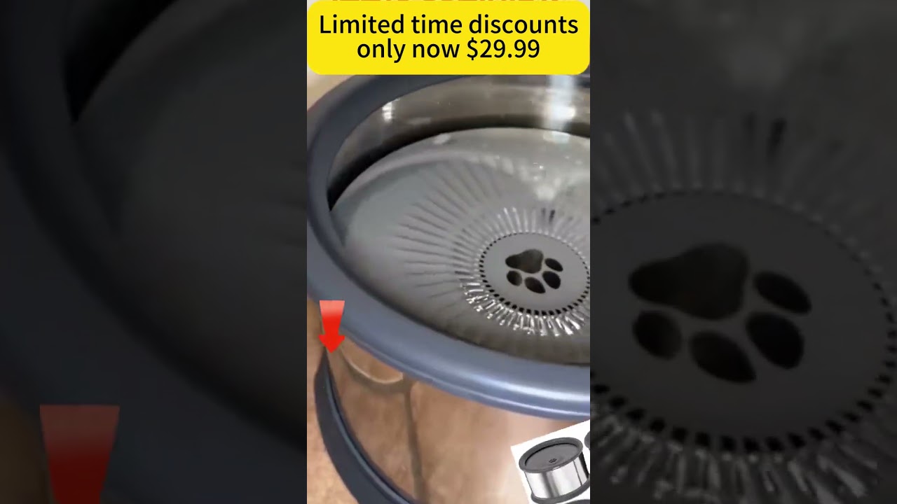 The Game-Changing Dog Water Bowl for $29.99: Review and Benefits