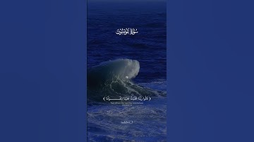 أواخر سورة المؤمنون ♡.| #شريف_مصطفى #اسلام_صبحي #تلاوة_خاشعة #قرآن #تابعوني #اكسبلور #لايك
