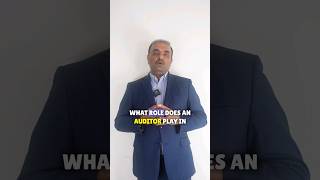 Definition of Auditor Role in P &amp; C Insurance