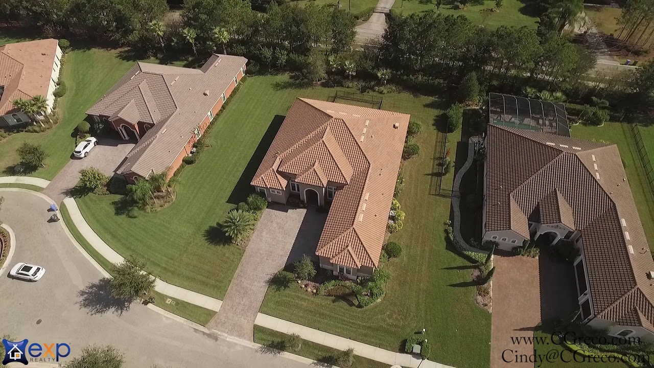 1008 Stella Vara Dr  Lutz, FL 33548