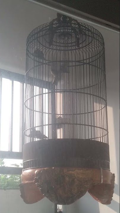 Branjangan hovering (masih bahan)