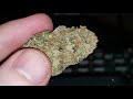 Strain of the day strain review humboldt blue dream