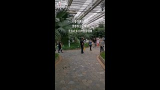 #生态景观 #长春农博会#大富农种苗