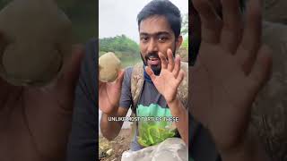 India's Most Dangerous Turtle!! #turtle #wildlife #youtubeshorts #wildlifeeducation
