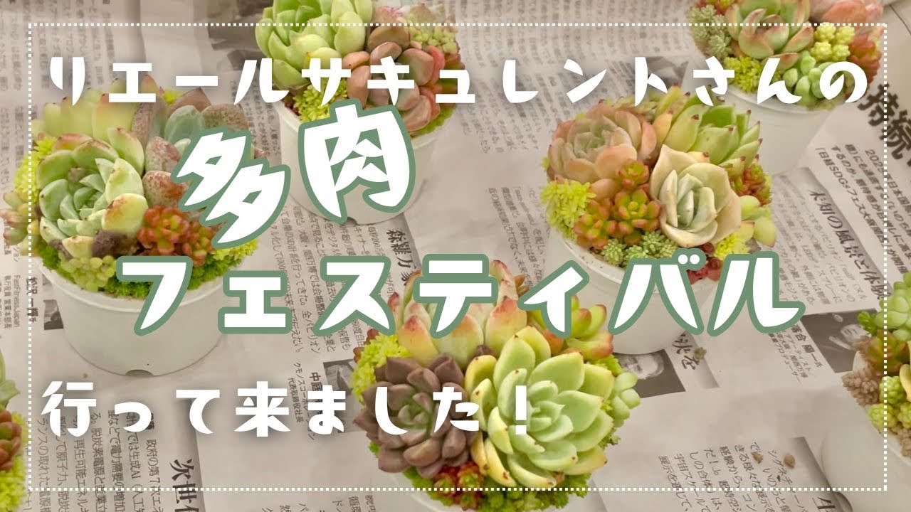 【多肉植物】初めてリエールさんの多肉フェスに行ってきました　購入苗も！